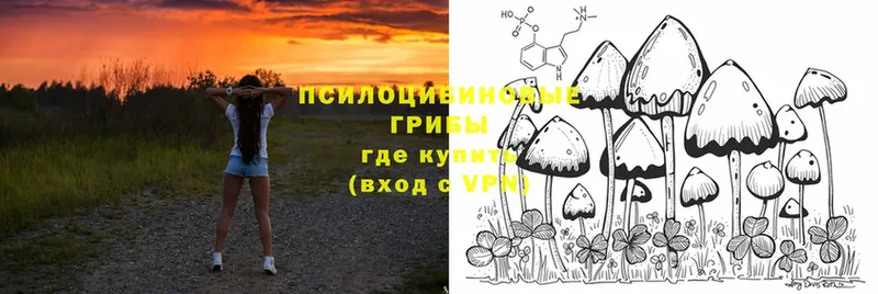 Галлюциногенные грибы Magic Shrooms  Гусев 